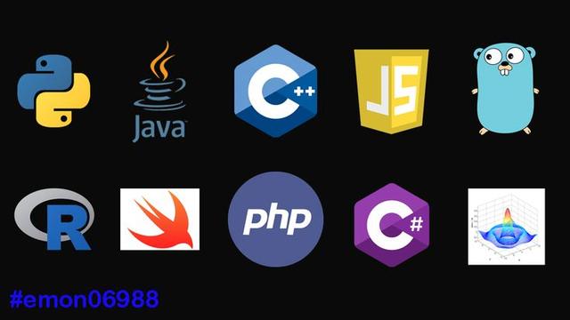 PROGRAMMING LANGUAGES